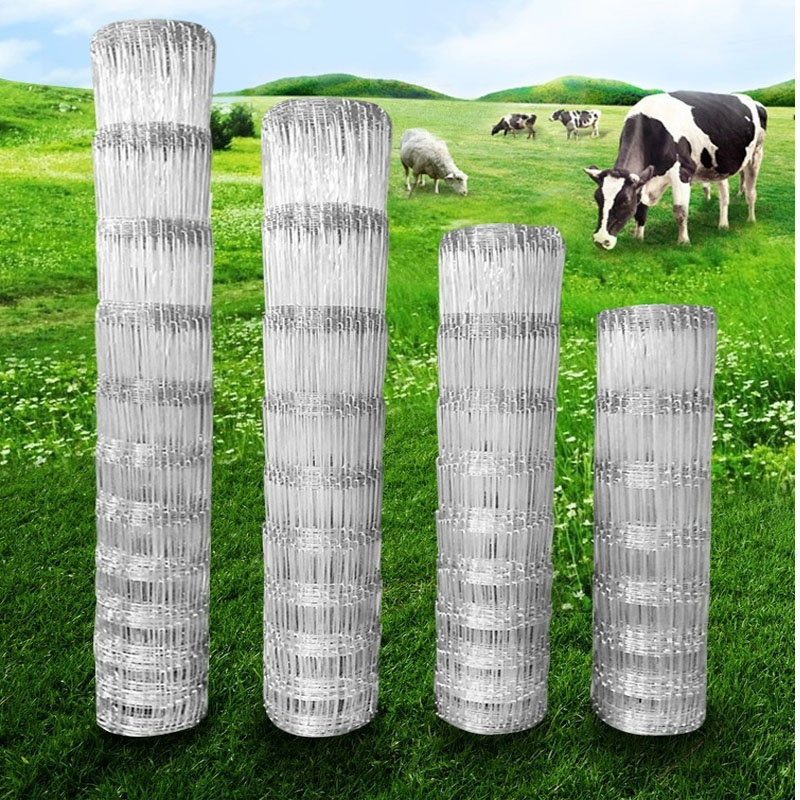 Rabbit Cage Wire - 1X50 Metri 10-25 cm gap bestiame
