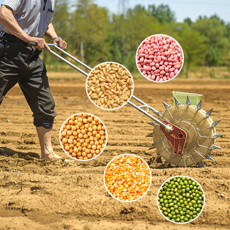 Seminatrice per Cipolle, Aglio - Agriculture Onion Farming recensione e prezzo