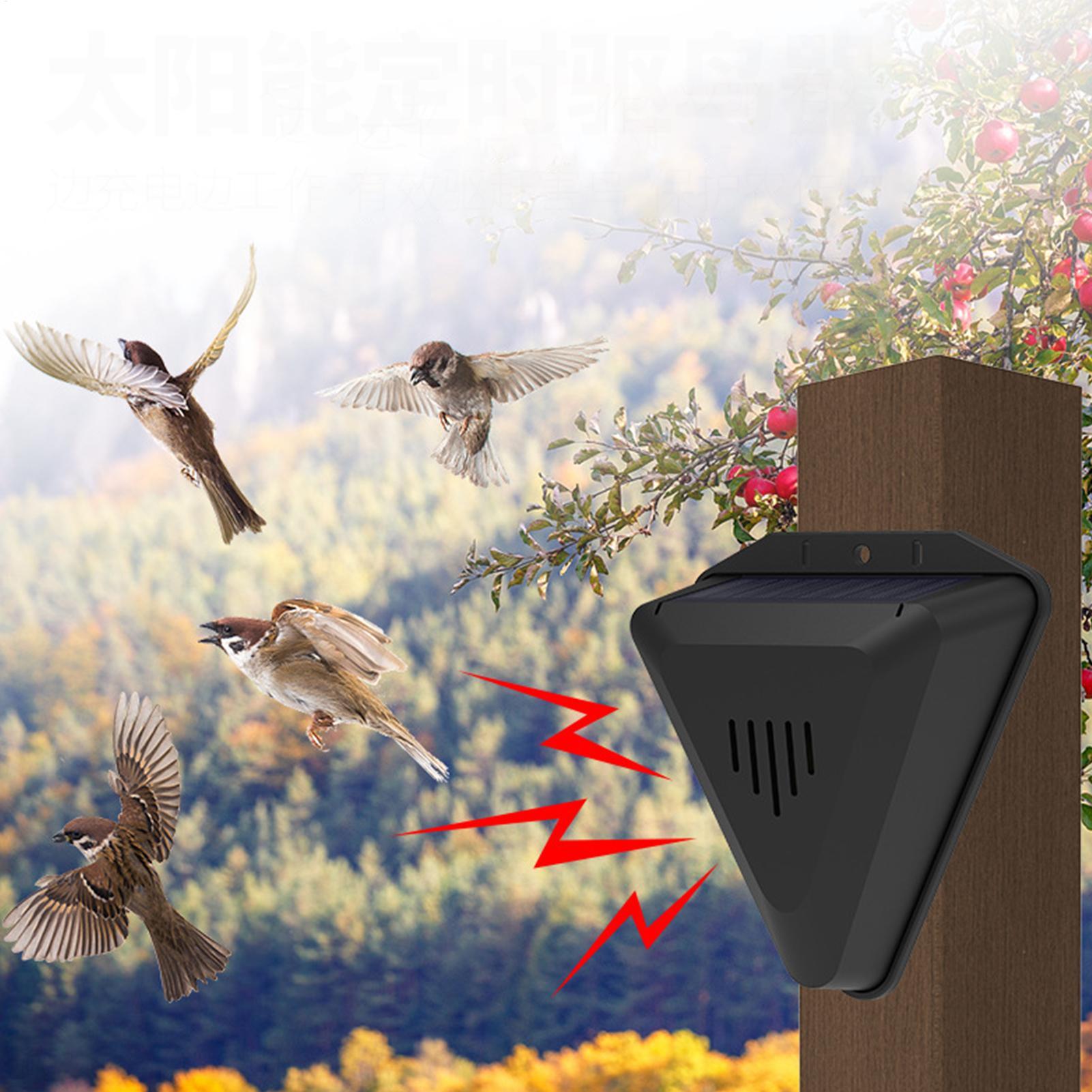 Repellente per Uccelli Solare  - Solar Bird Scarer recensione e prezzo