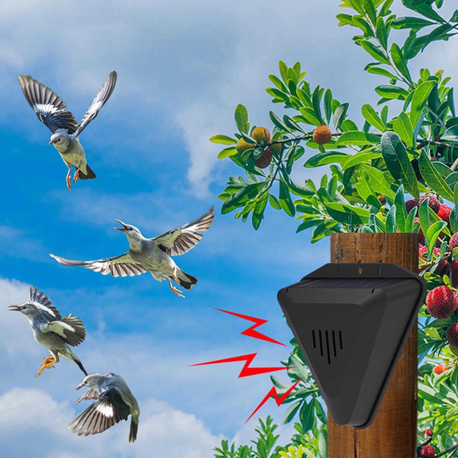 Repellente per Uccelli Solare  - Solar Bird Scarer recensione e prezzo