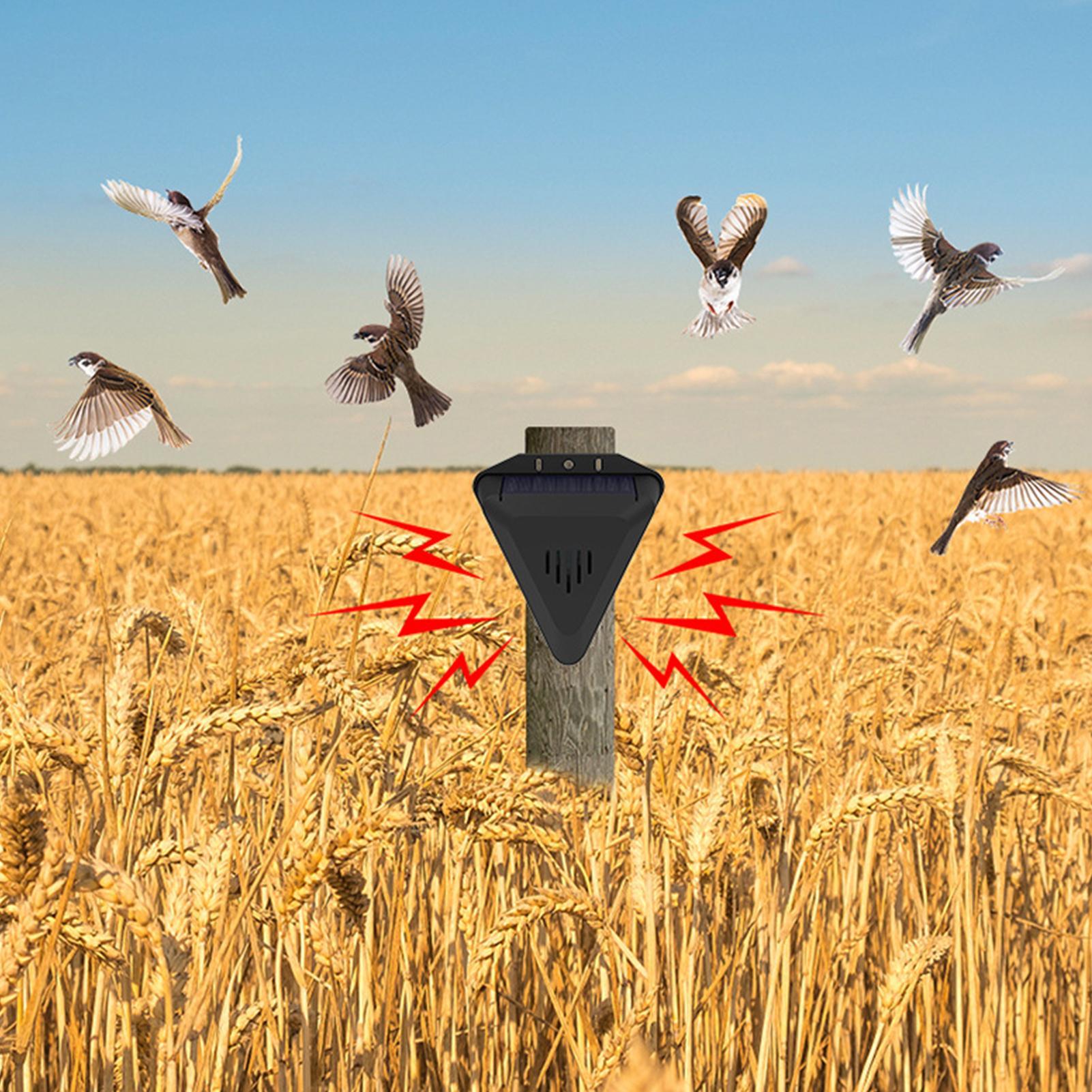 Repellente per Uccelli Solare  - Solar Bird Scarer recensione e prezzo