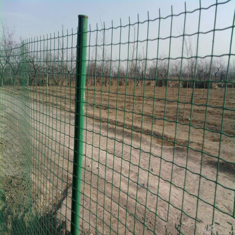Recinzione da giardino recinzi - Rabbit Cage Wire recensione e prezzo