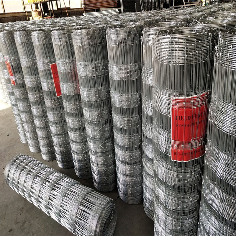 1X50 Metri 10-25 cm gap bestia - Rabbit Cage Wire recensione e prezzo